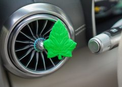 Il SUV compatto secondo Lexus - image Arexon-Fresca-Foglia-240x172 on https://motori.net