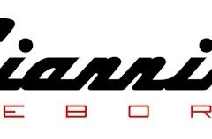 Auto elettriche. Motus-E vuol fare chiarezza - image Giannini-Reborn-logo-low-240x158 on https://motori.net